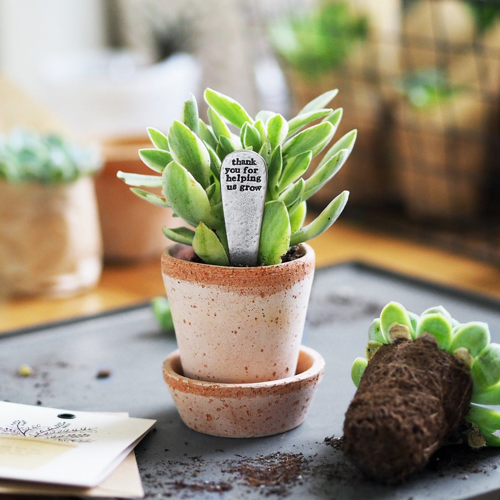 Personalised 'Thank You For Helping Me/Us Grow' Plant Marker